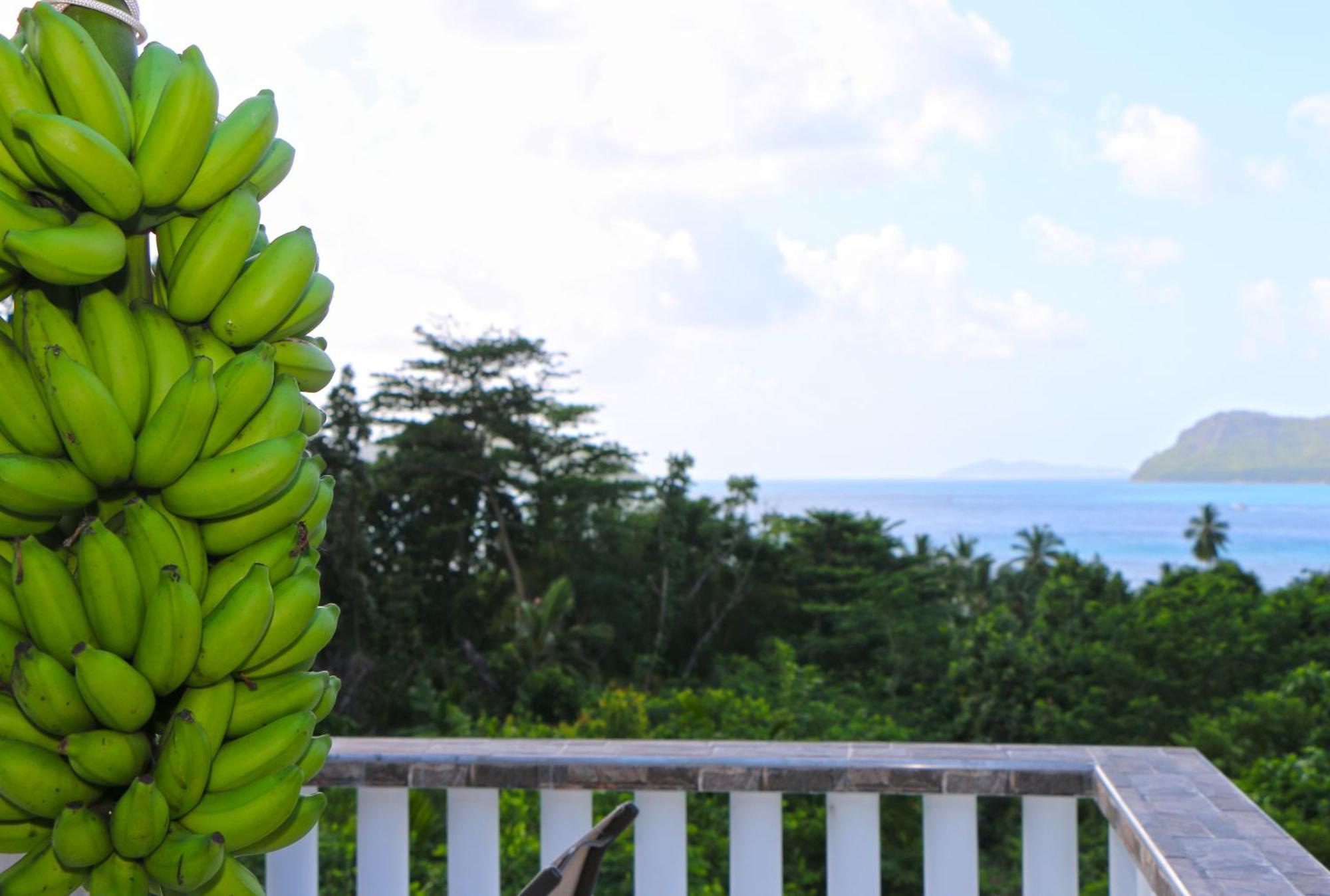 Ocean Blue Bay Apartment Anse Volbert Village  Luaran gambar