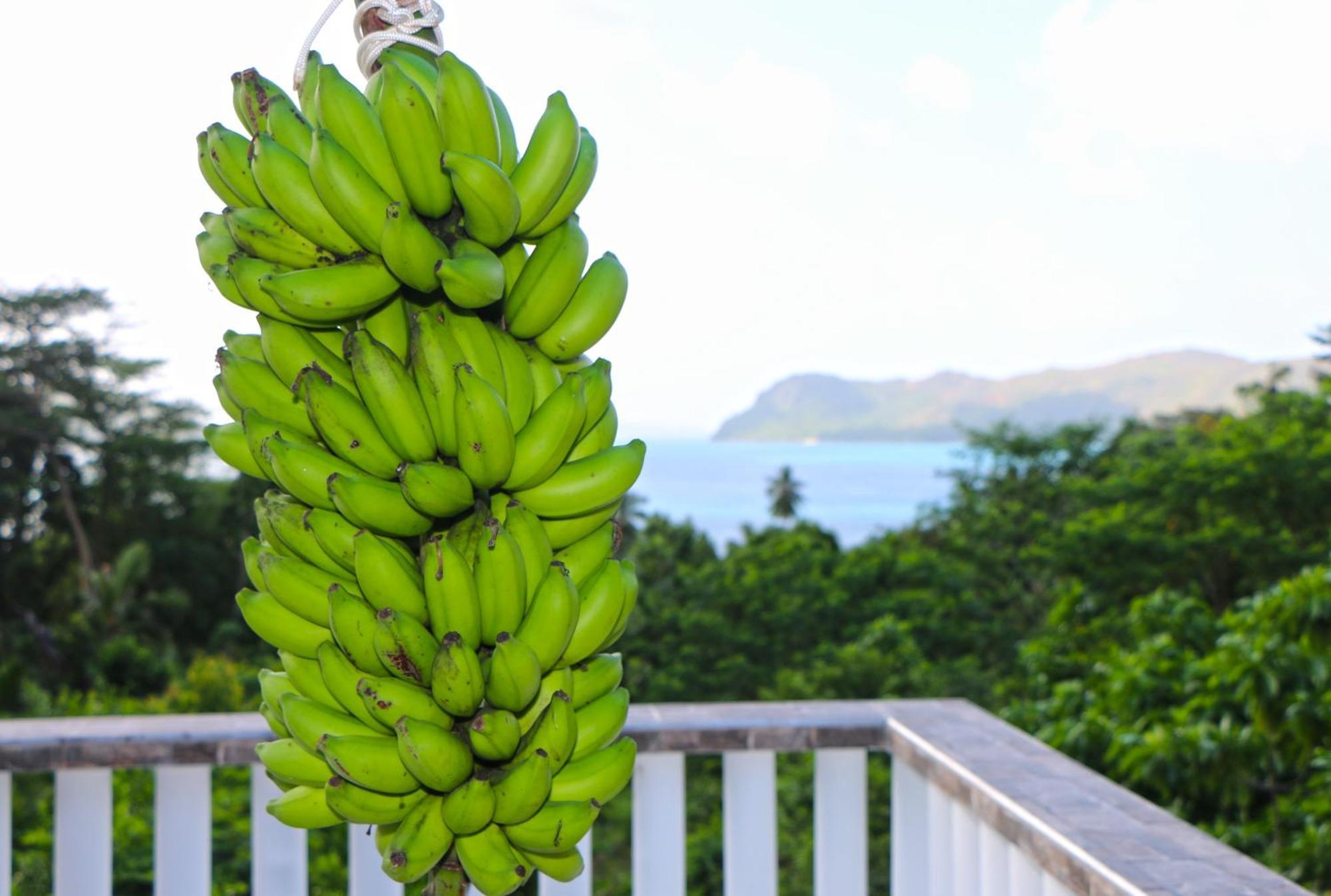 Ocean Blue Bay Apartment Anse Volbert Village  Luaran gambar