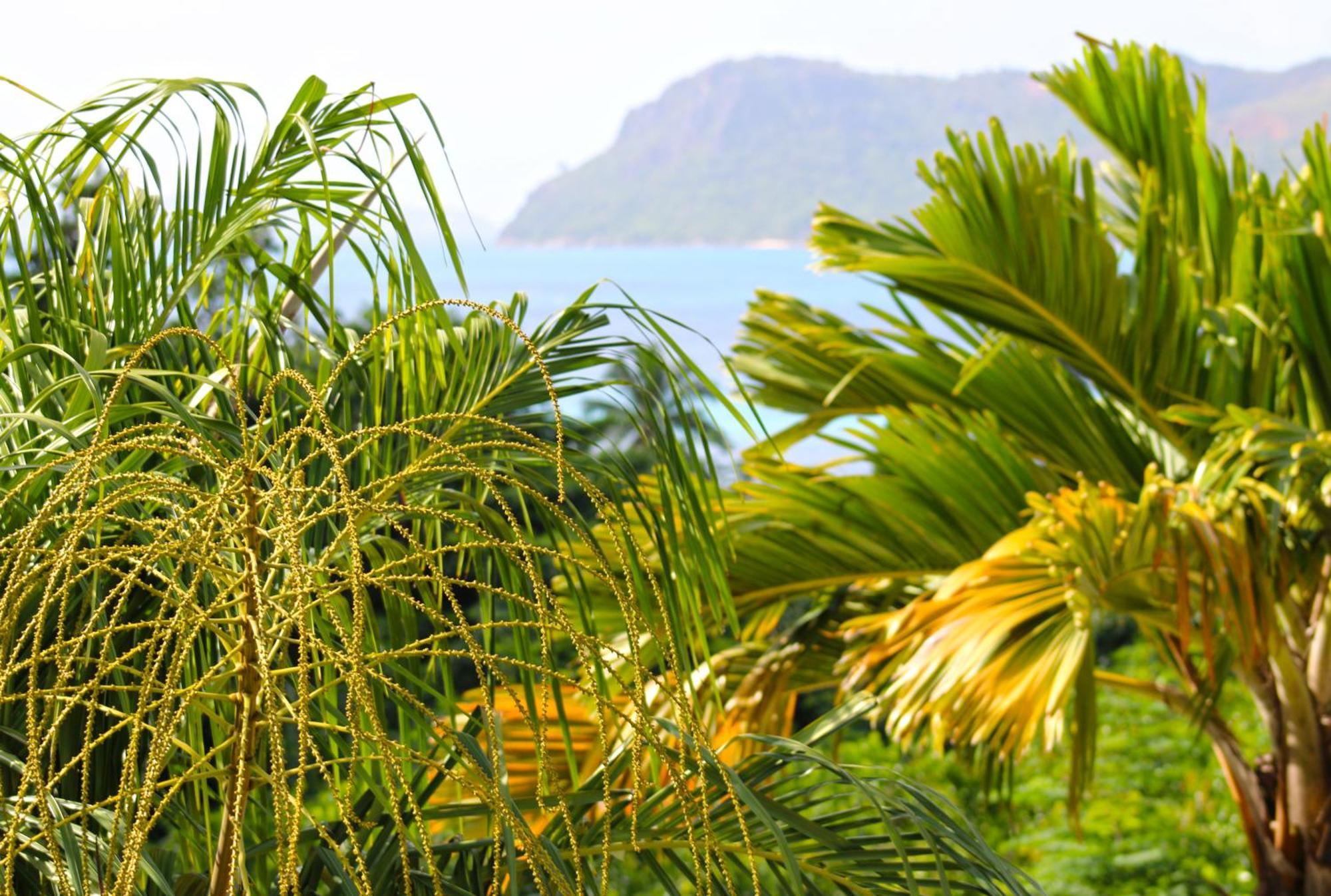 Ocean Blue Bay Apartment Anse Volbert Village  Luaran gambar